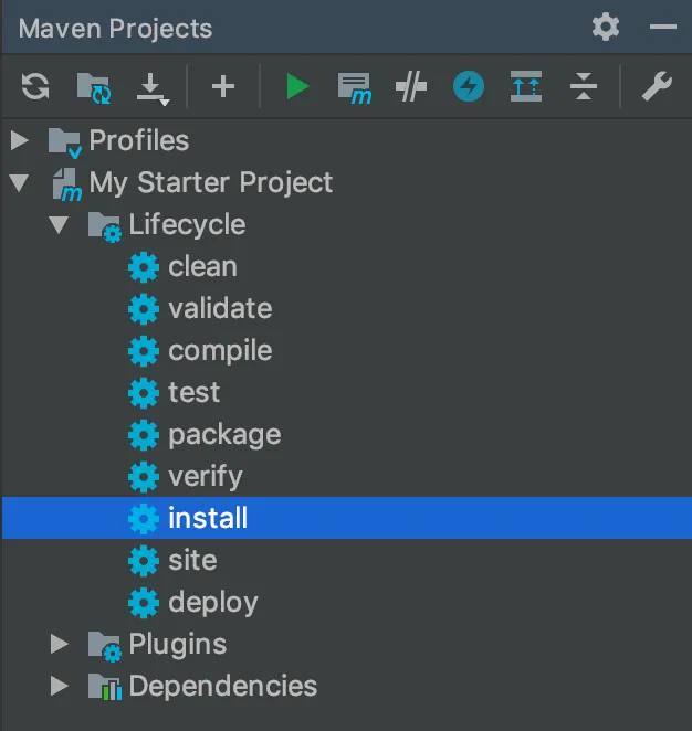 Lifecycle phases