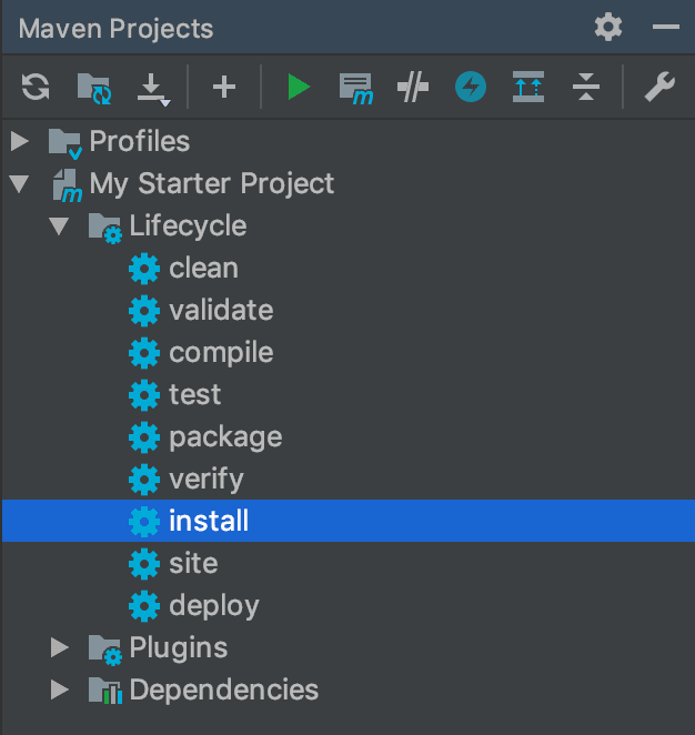 Lifecycle phases