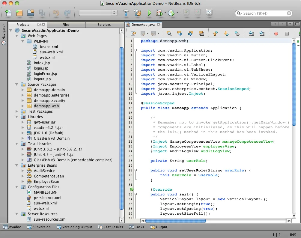 Netbeans screenshot 1