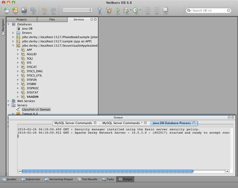 Netbeans screenshot 2